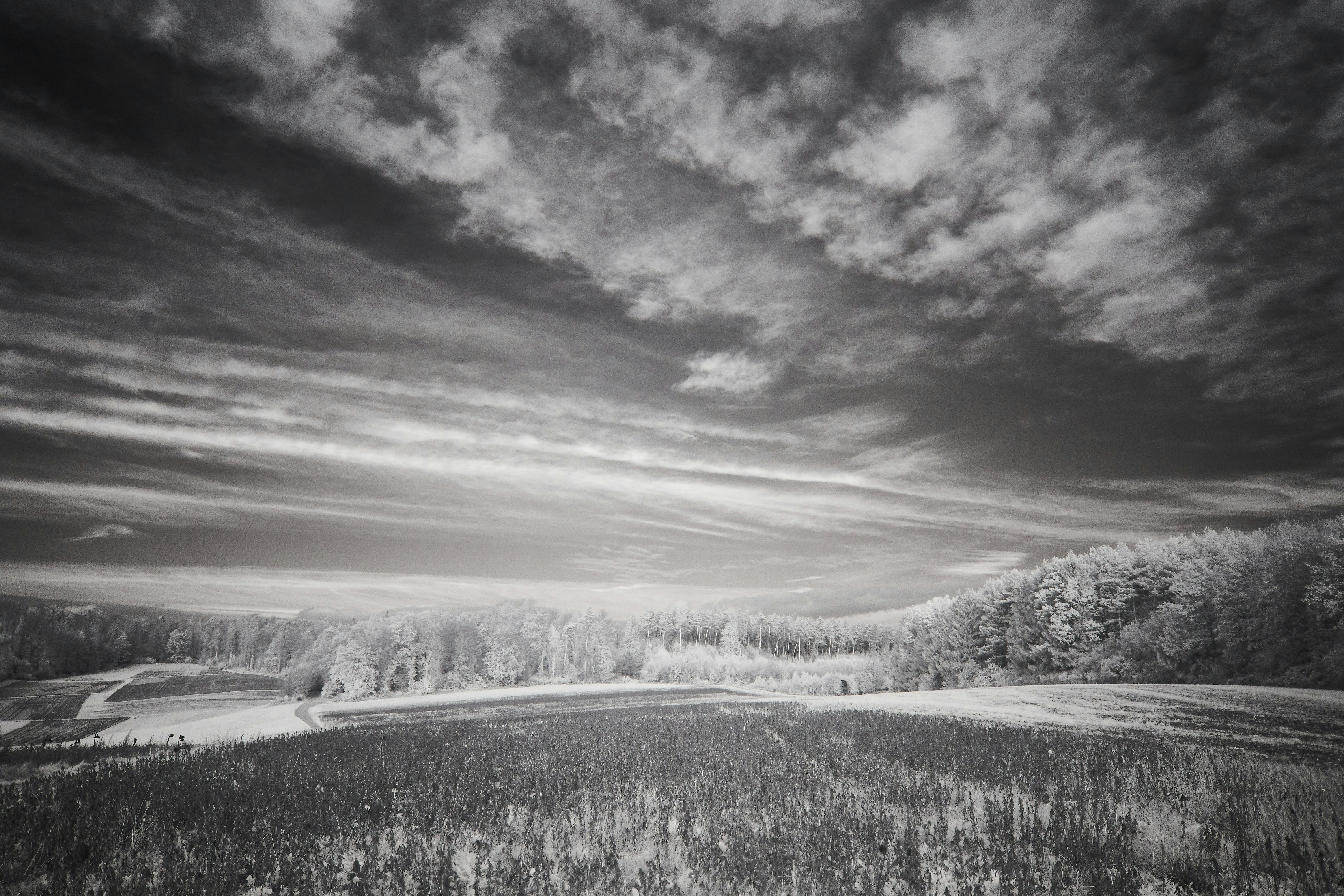 Photo by wolfgang_hasselmann