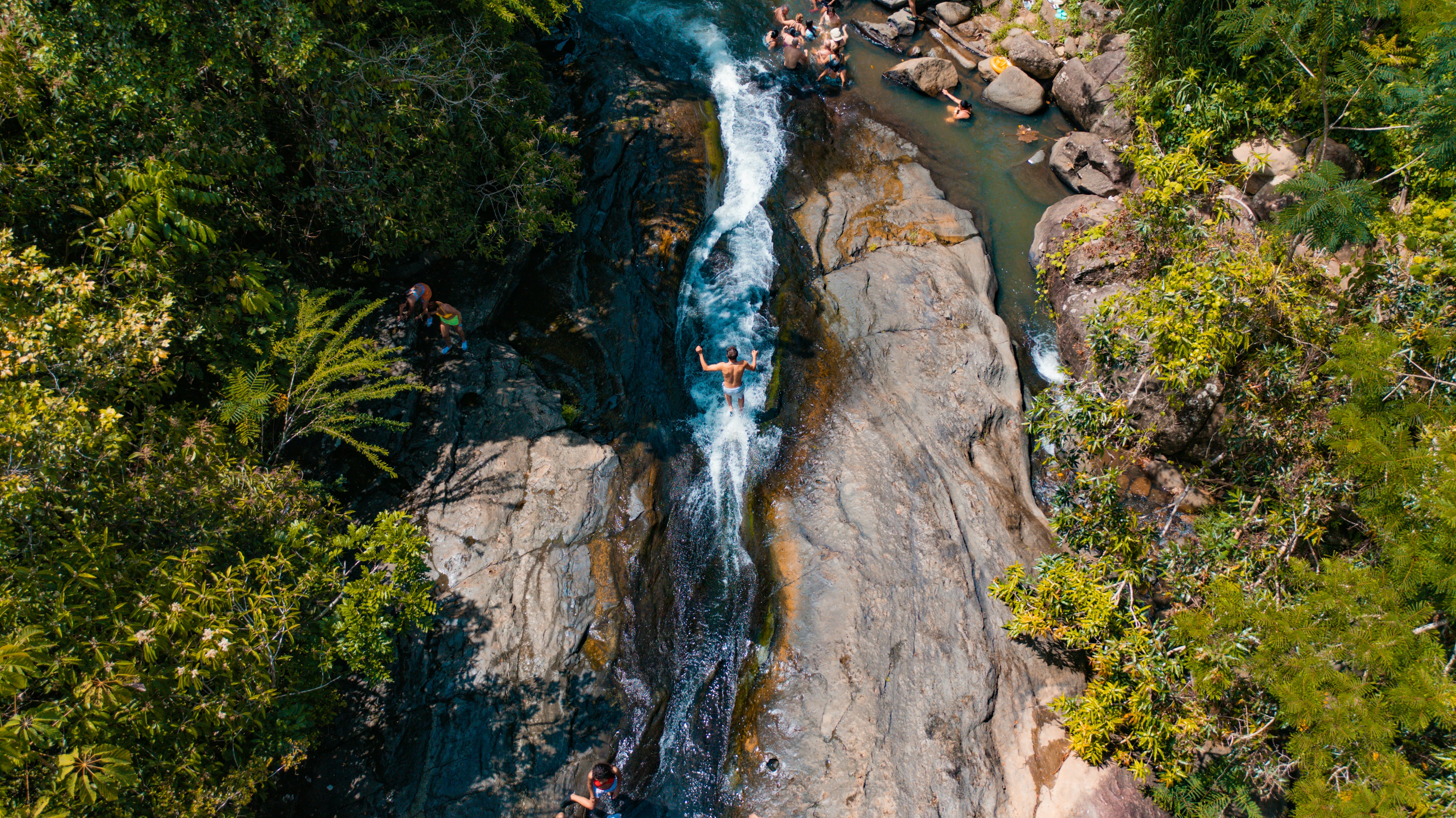 a river running through a lush green forest