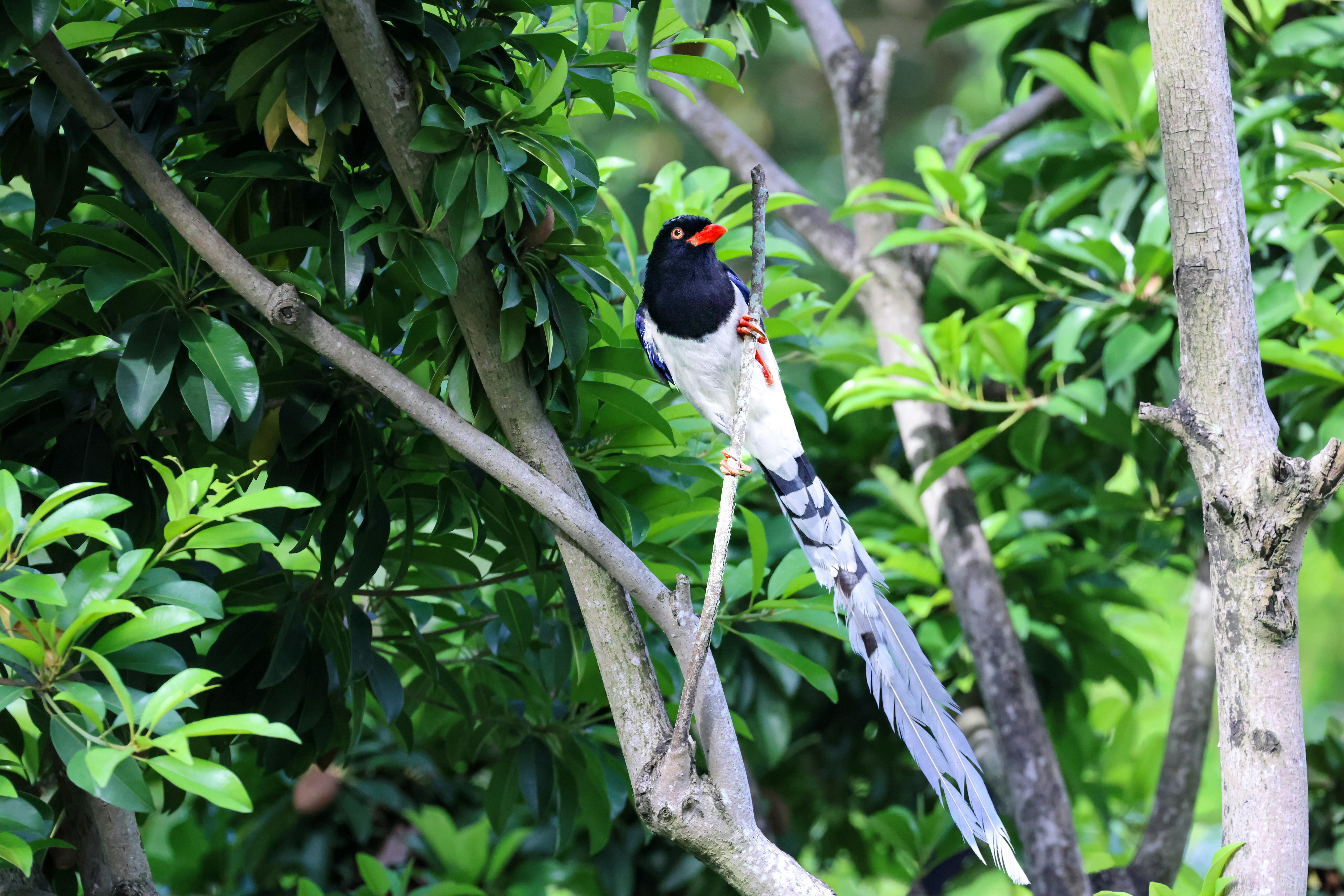 Photo by dickenslin76