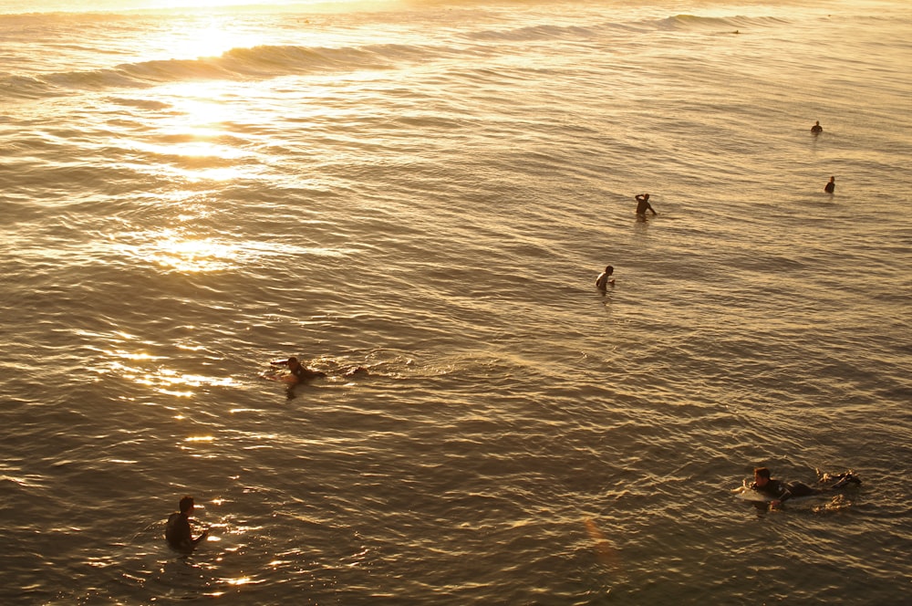 a group of people swimming in the ocean at sunset