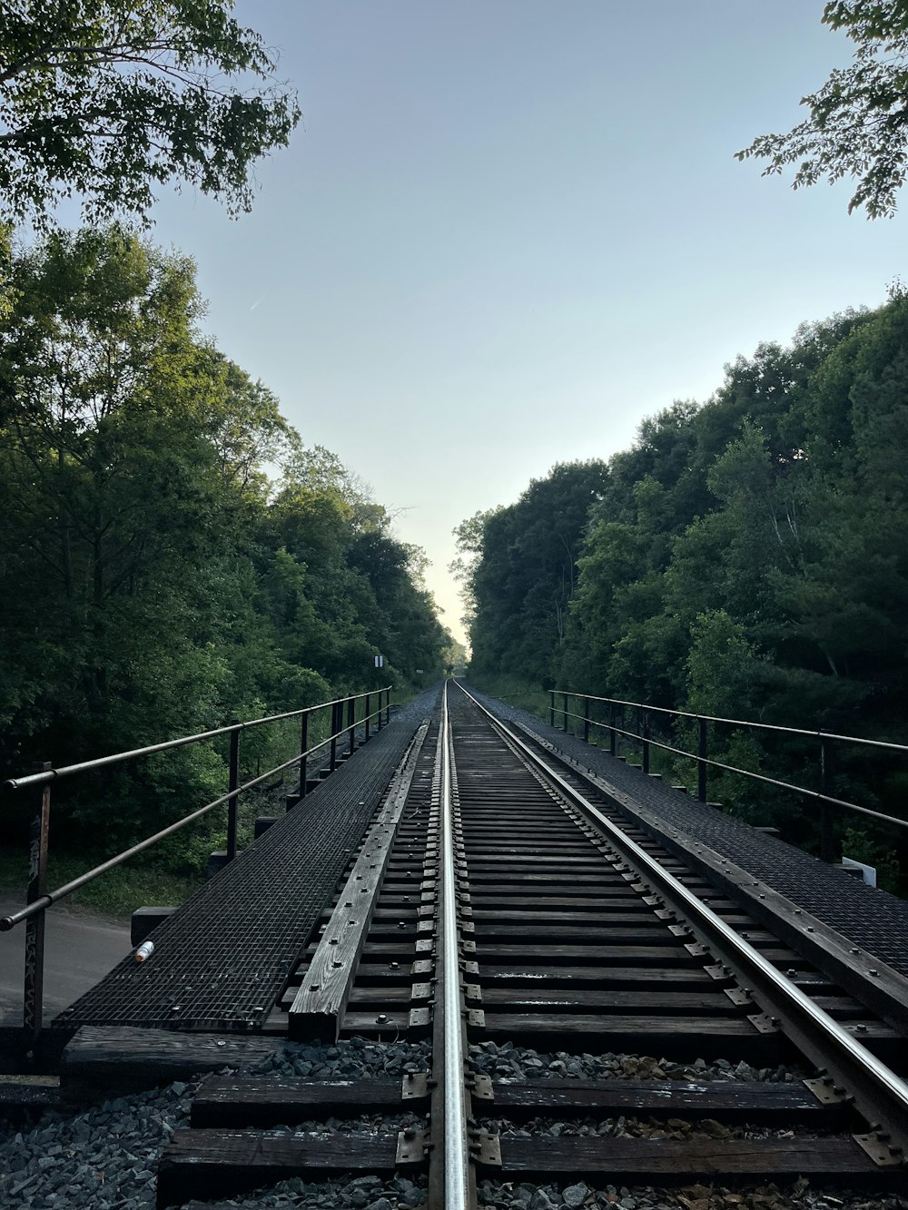 a train track going through a wooded area