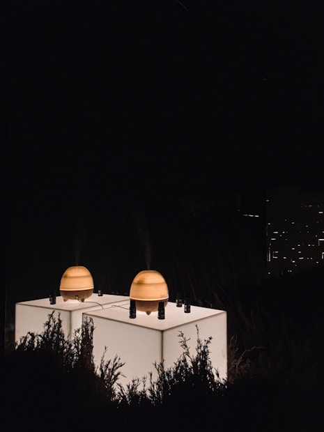 A minimalist setting features two rounded, wooden diffusers on top of a softly illuminated white cube. The scene is enveloped in darkness, with shrubs partially visible in the foreground. A few small dark bottles are also on the cube, complementing the calming and serene atmosphere.