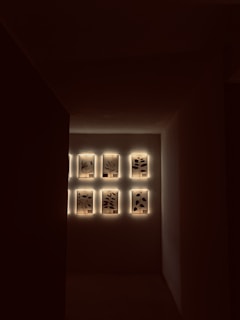 A curated display of framed botanical prints hanging in a softly lit gallery space with neutral walls.