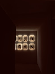 Eight lit frames with botanical art are arranged in a symmetrical grid on a wall, casting a warm glow in a dimly lit room. The frames feature various plant silhouettes, creating an elegant and minimalistic aesthetic.