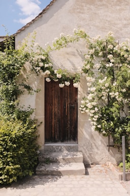 A rustic wooden door surrounded by olive trees at sunset in a historic Sicilian estate.