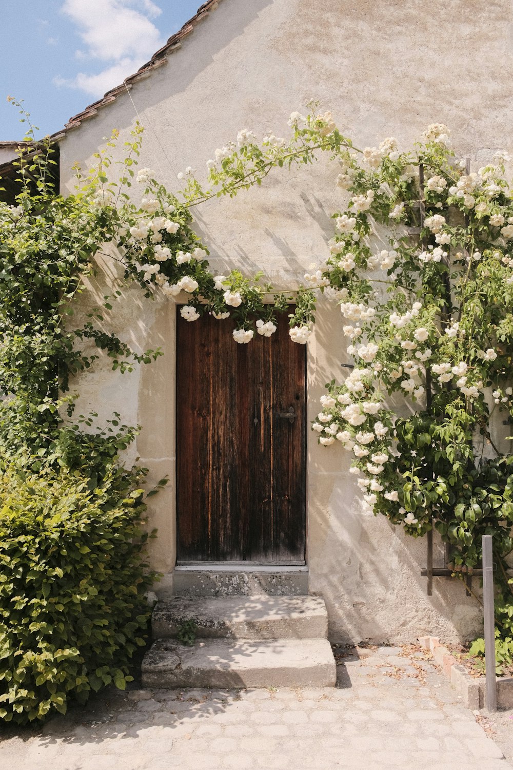 a house with a wooden door surrounded by white flowers