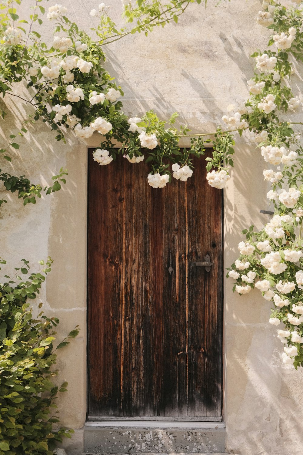 a wooden door surrounded by white flowers and greenery