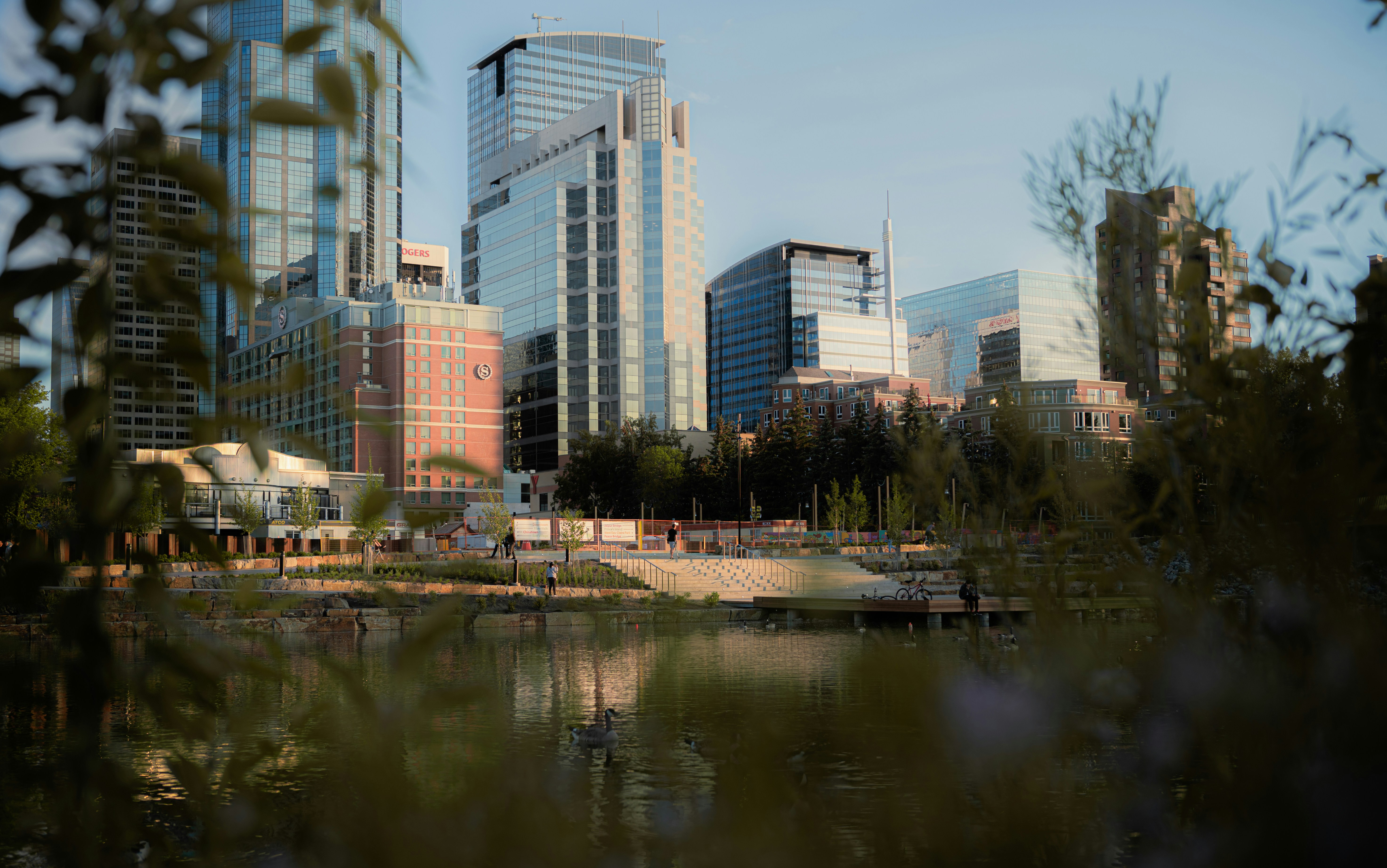 Best Neighborhoods to Rent in Calgary 2026: Top Picks for Renters