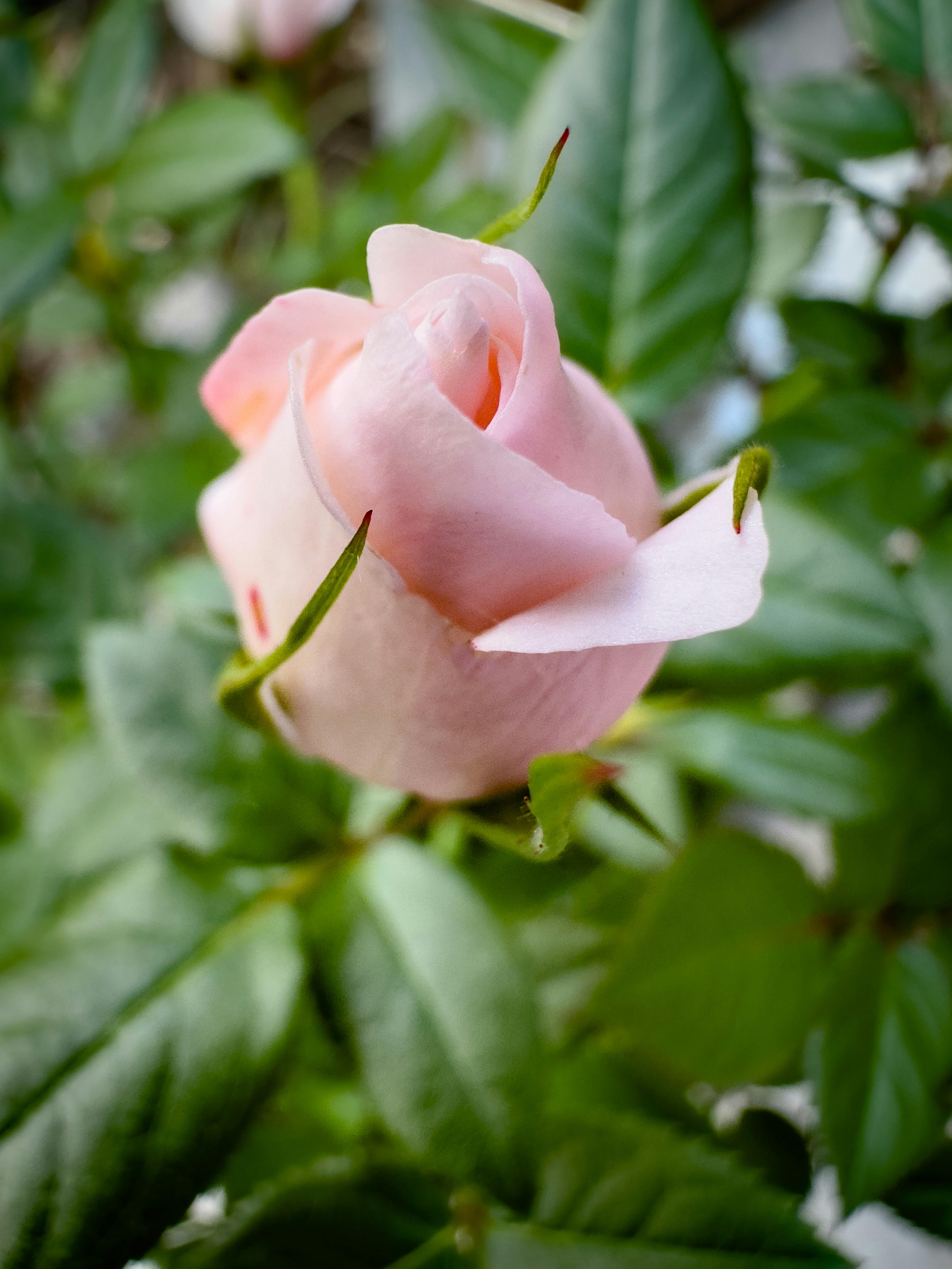 Photo by maverick2001