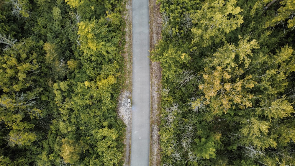 a road in the middle of a forest