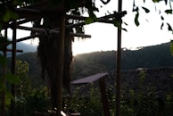 Sunset view over empty plots highlighting the peaceful environment and open space.