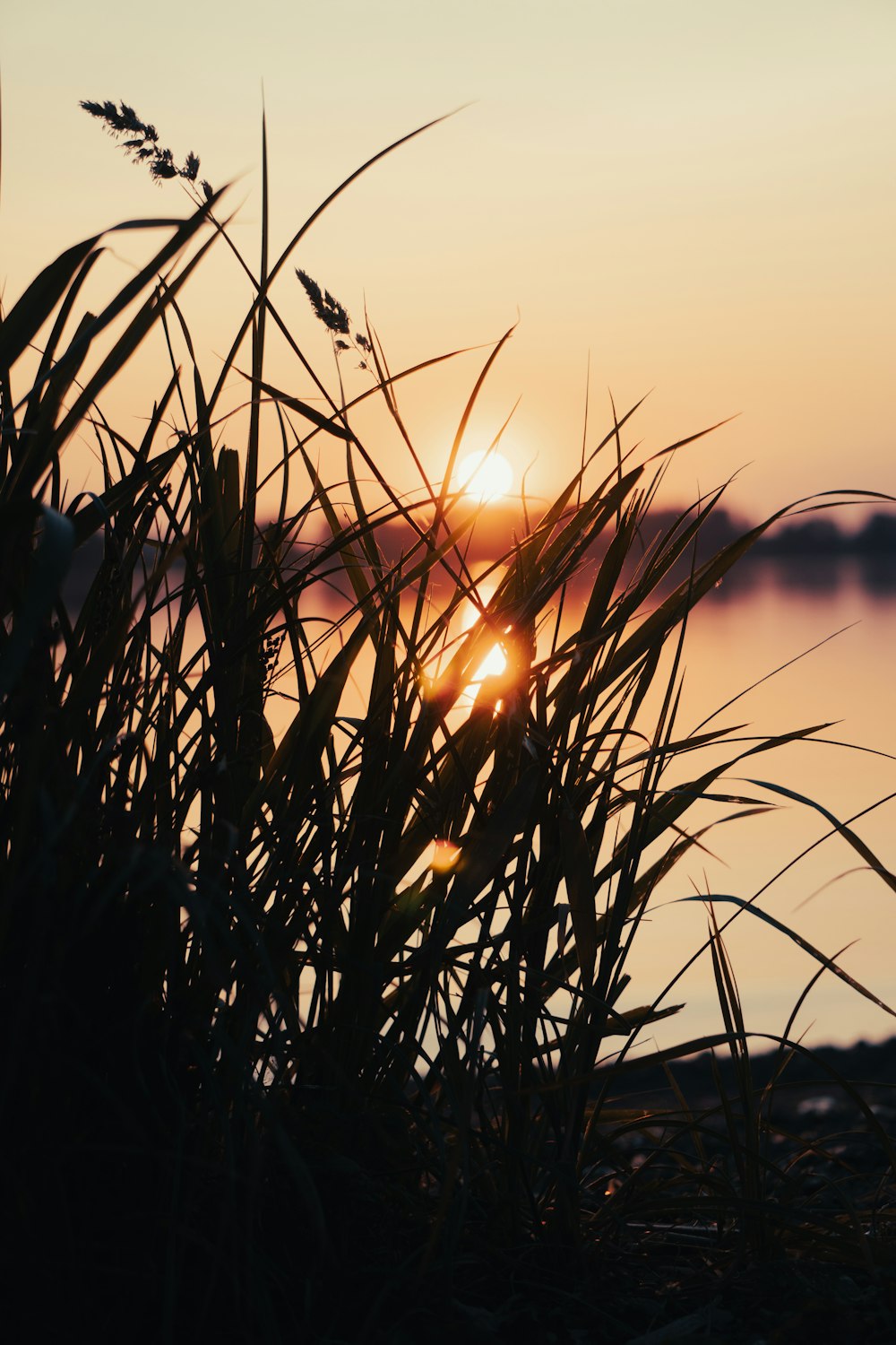 the sun is setting over a body of water