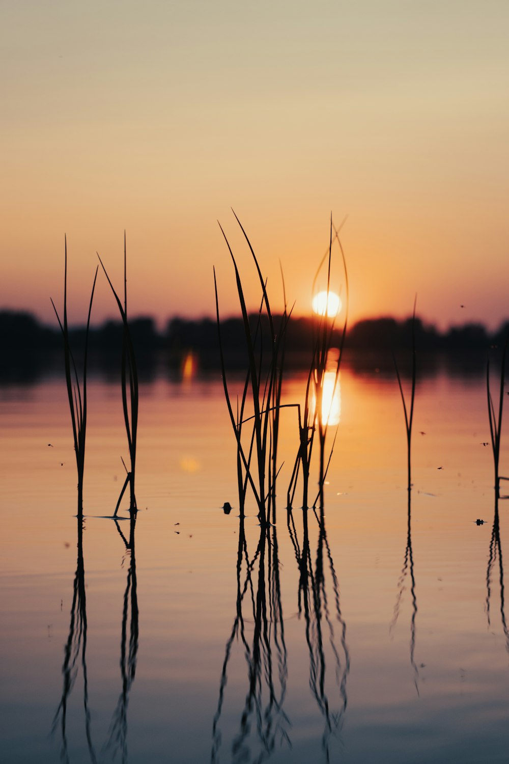 the sun is setting over a body of water