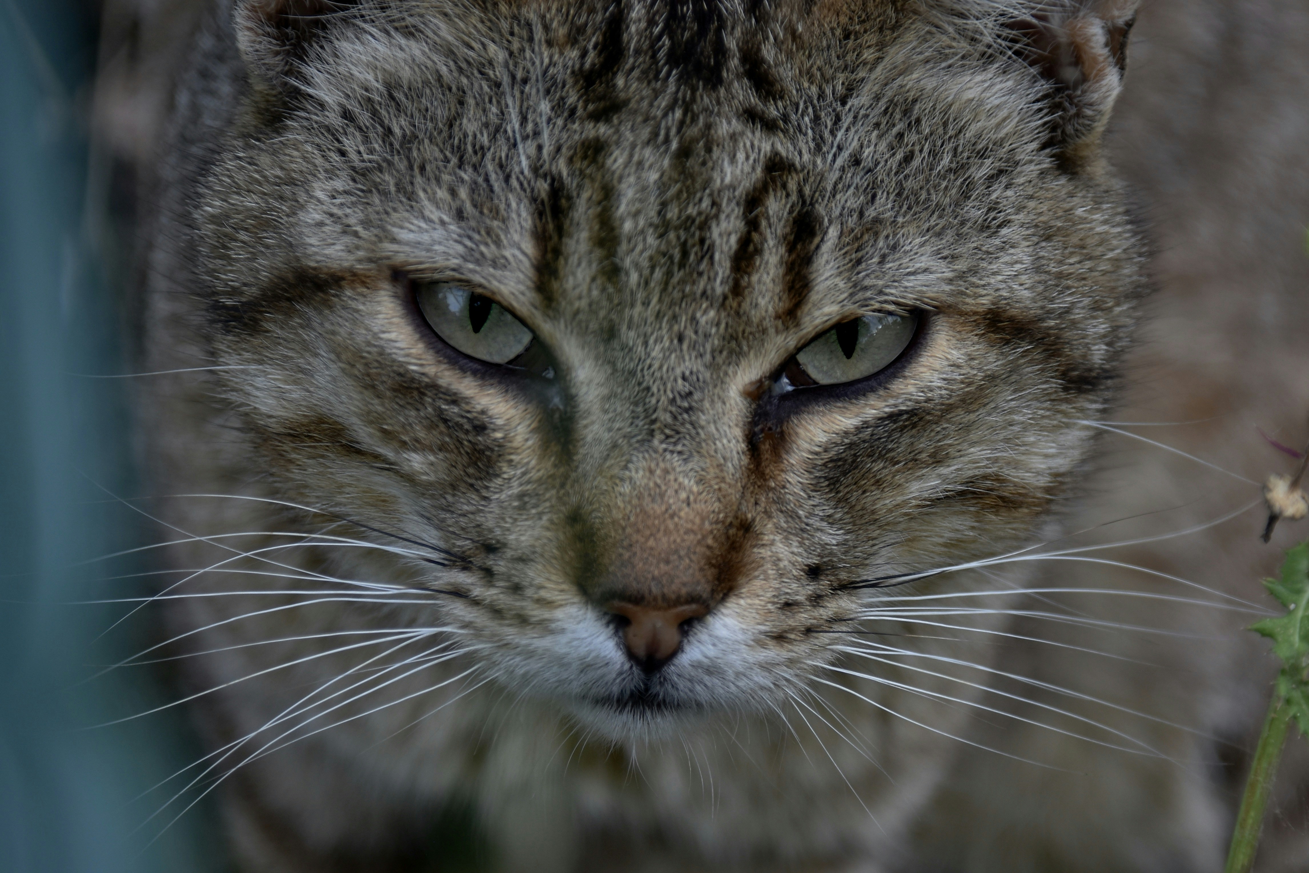 Photo by mariobeducci