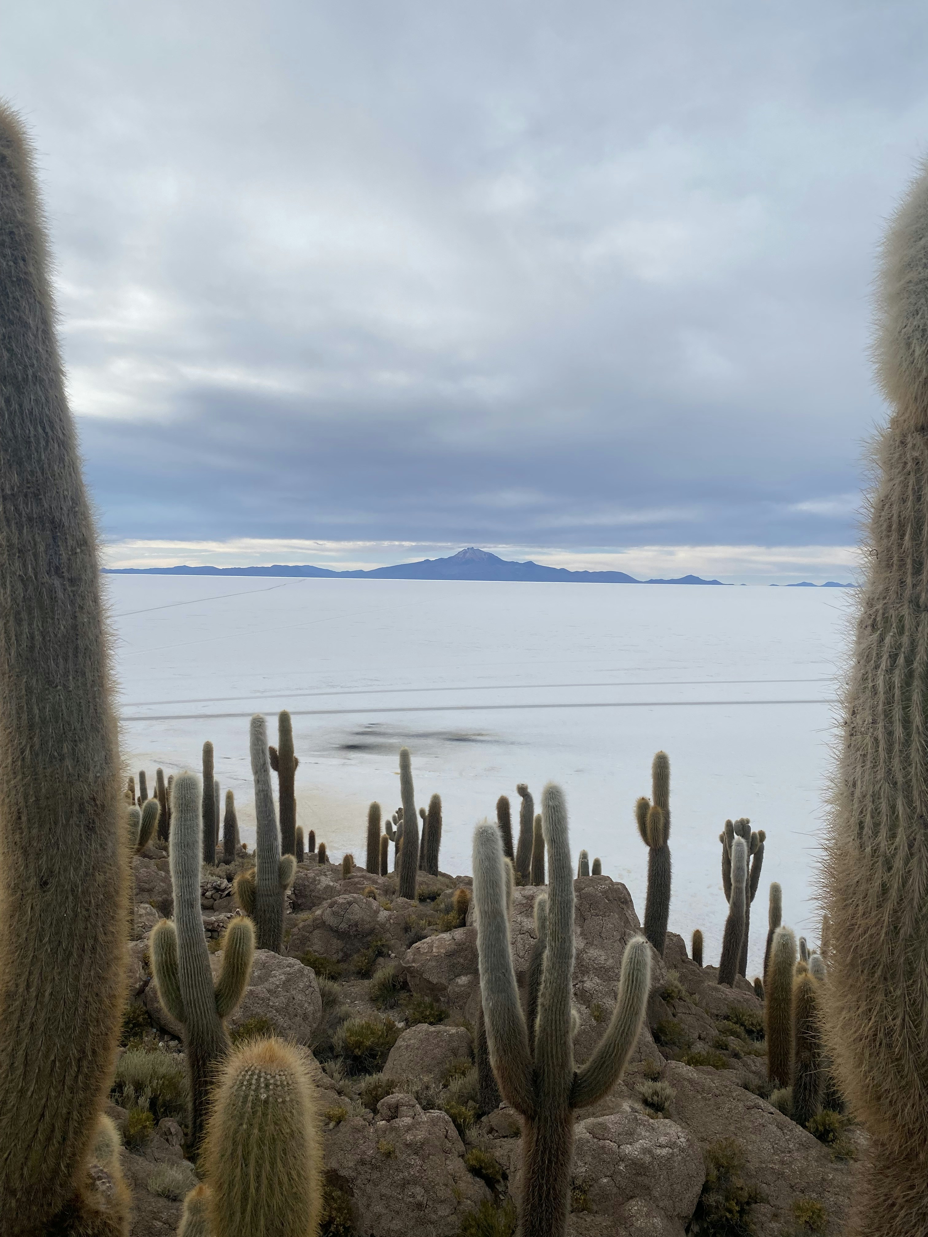 For illustrative purpose only