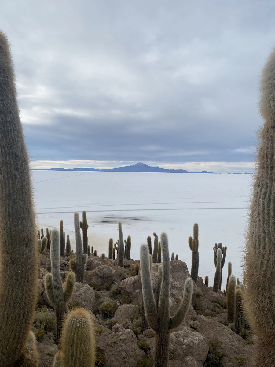 Bolivia: La Paz, the Yungas road and the Salar de Uyuni