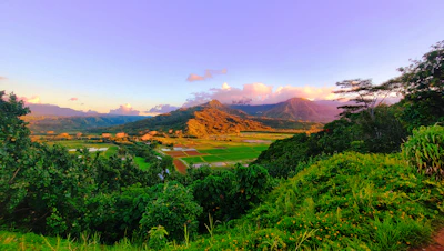 Lush green landscape of the Llanos Orientales with a group enjoying a guided eco-tour at golden hour.