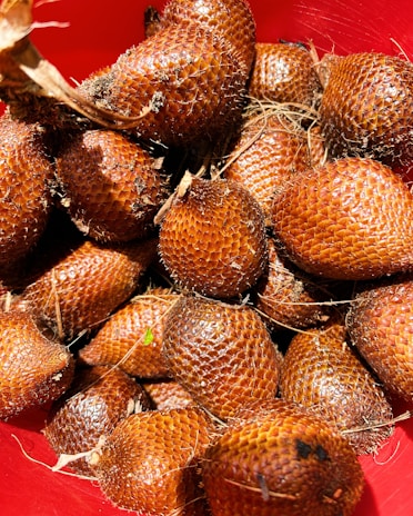A collection of reddish-brown, scaly fruits with rough textures is gathered in a red container. The fruits have a somewhat spiky appearance with fibrous strands entangled among them.