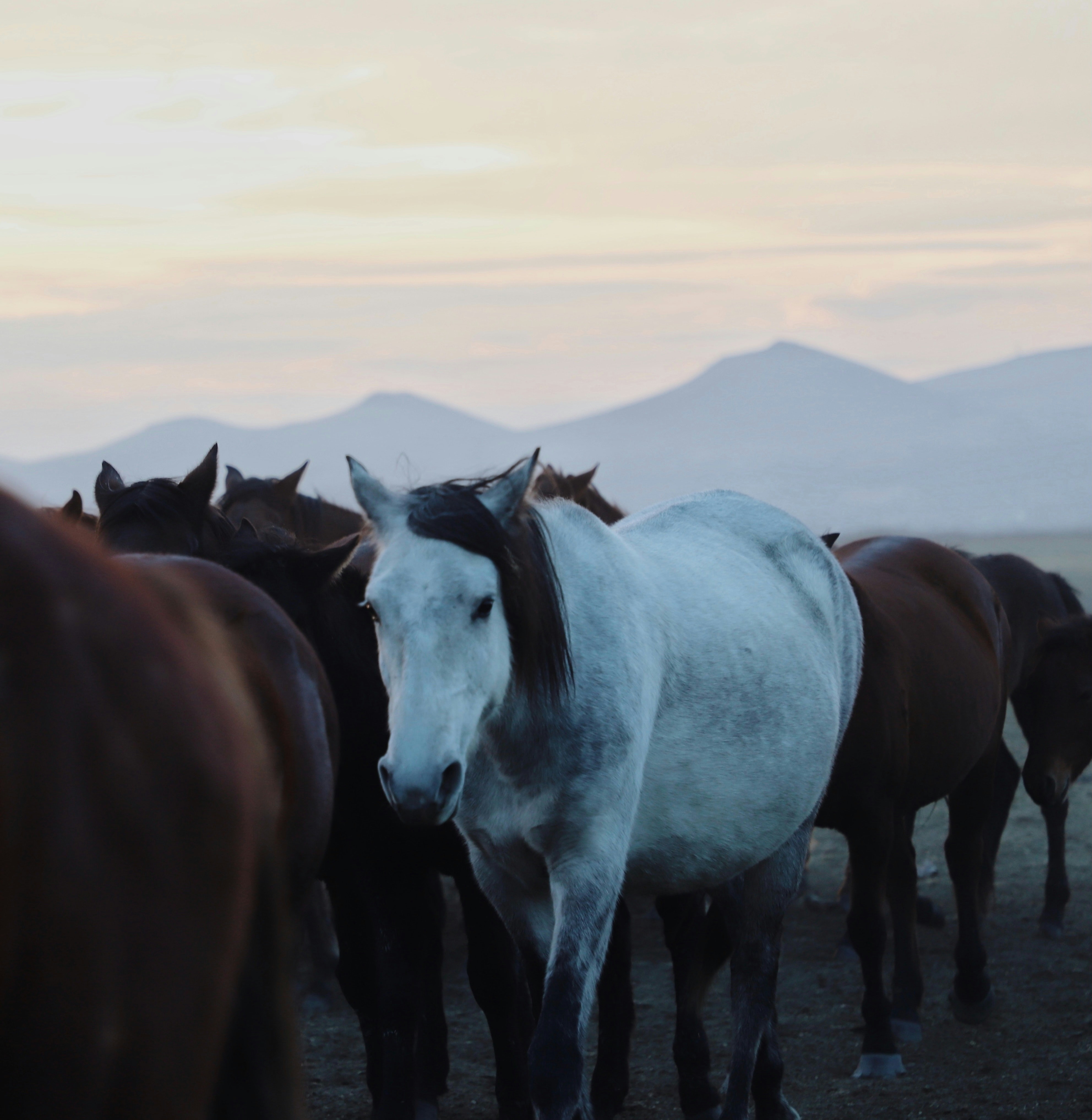 Photo by tansutopuzoglu