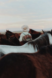 A warm hoodie draped over a saddle with a backdrop of open plains and wild horses.