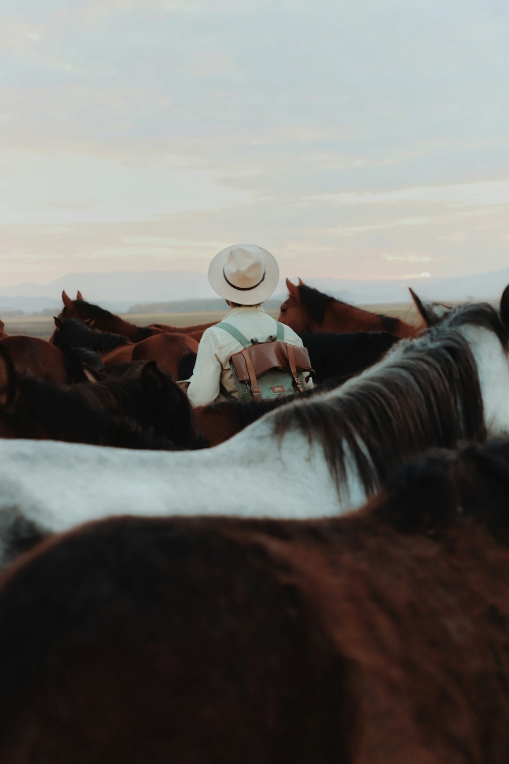 a man in a cowboy hat is surrounded by horses