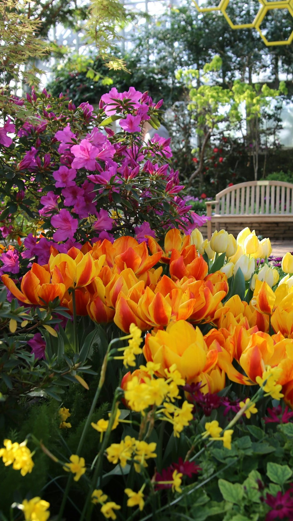 a garden filled with lots of colorful flowers