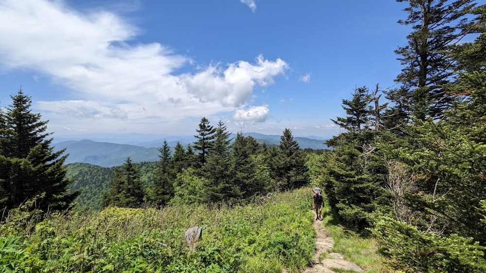 a man hiking up a trail in the mountains