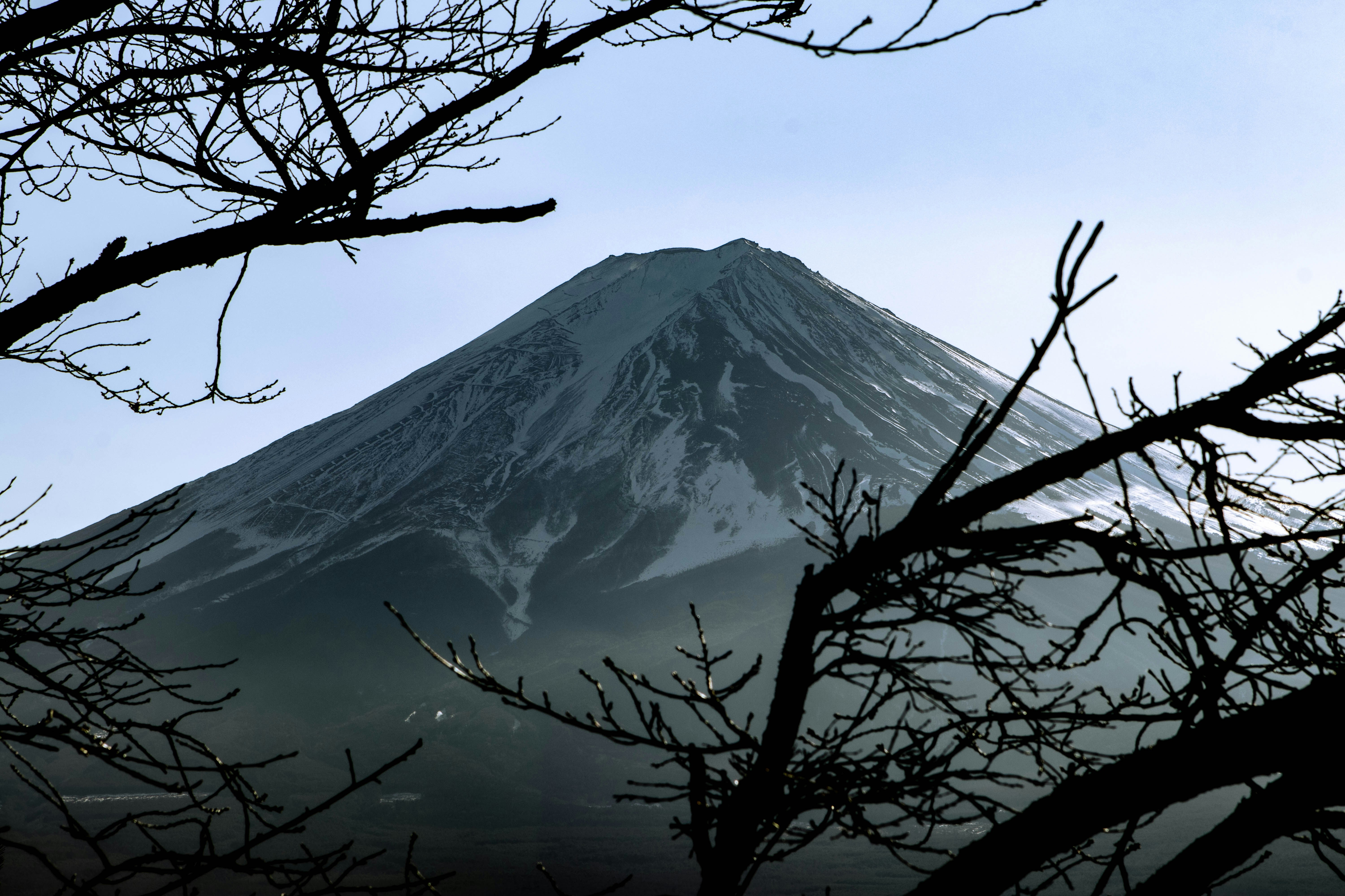 gunung yang tertutup salju dengan pepohonan di latar depan