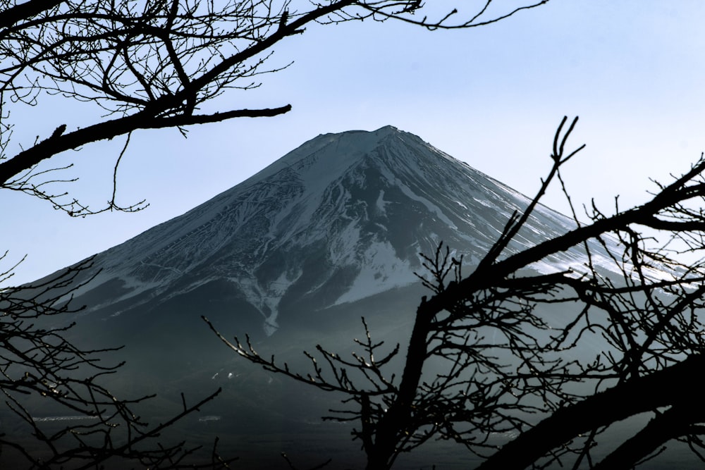 a snow covered mountain with trees in the foreground