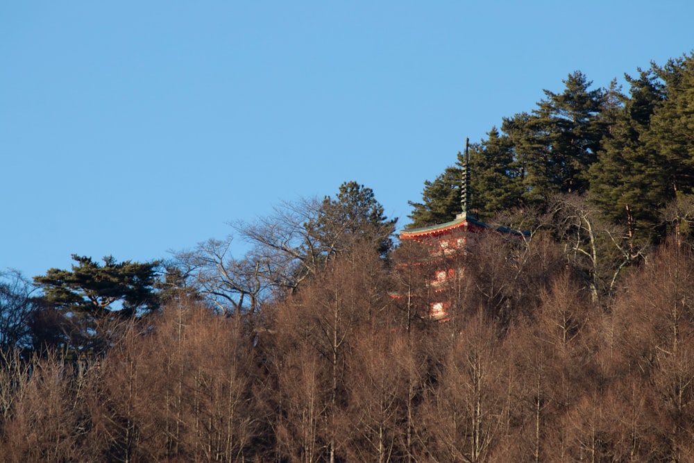 a building on top of a hill surrounded by trees