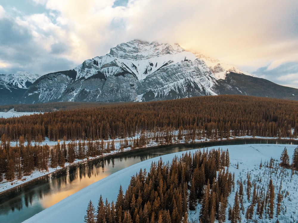 Un río que atraviesa un bosque junto a una montaña cubierta de nieve