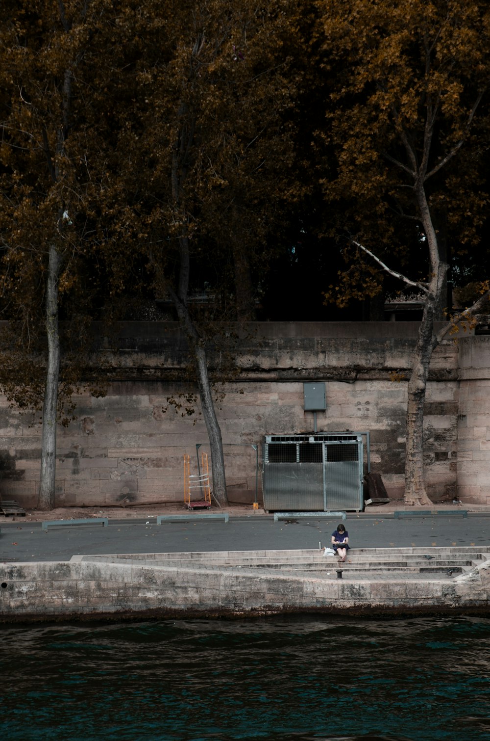 a person standing on the edge of a body of water