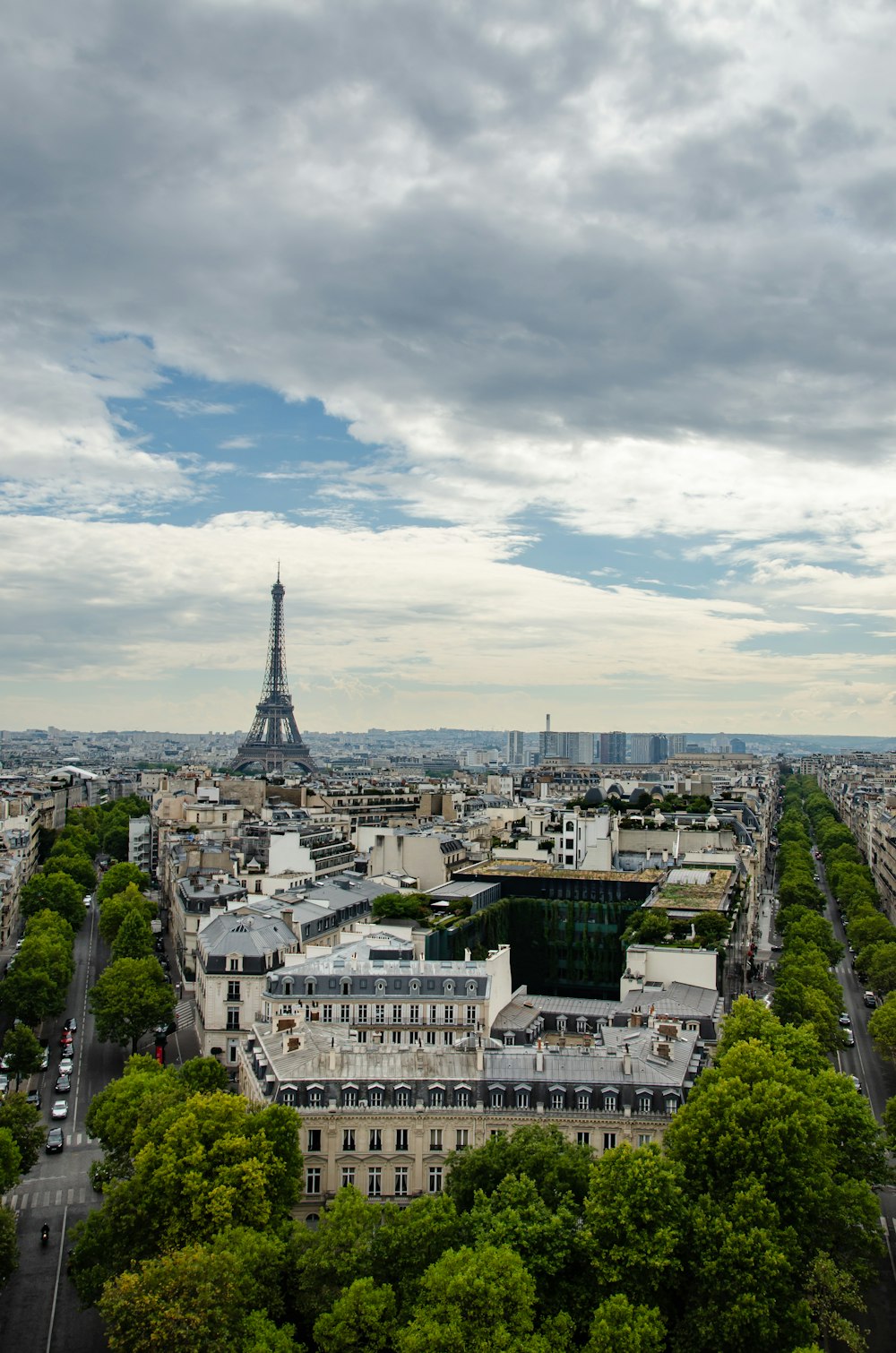 the eiffel tower towering over the city of paris