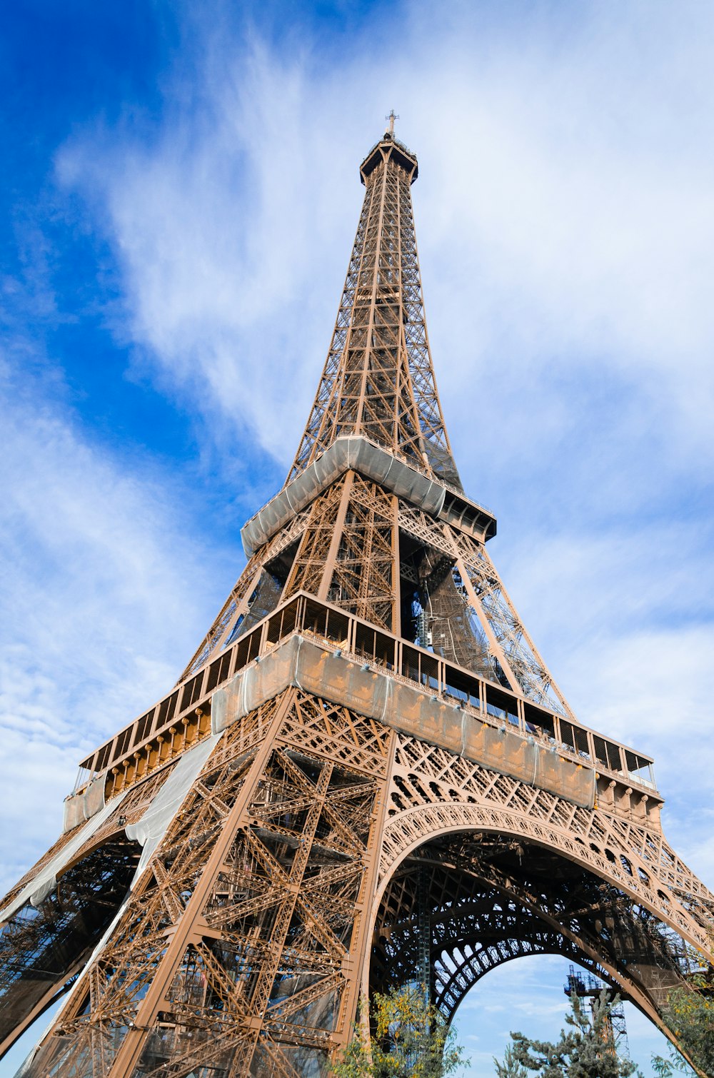 the eiffel tower towering over the city of paris