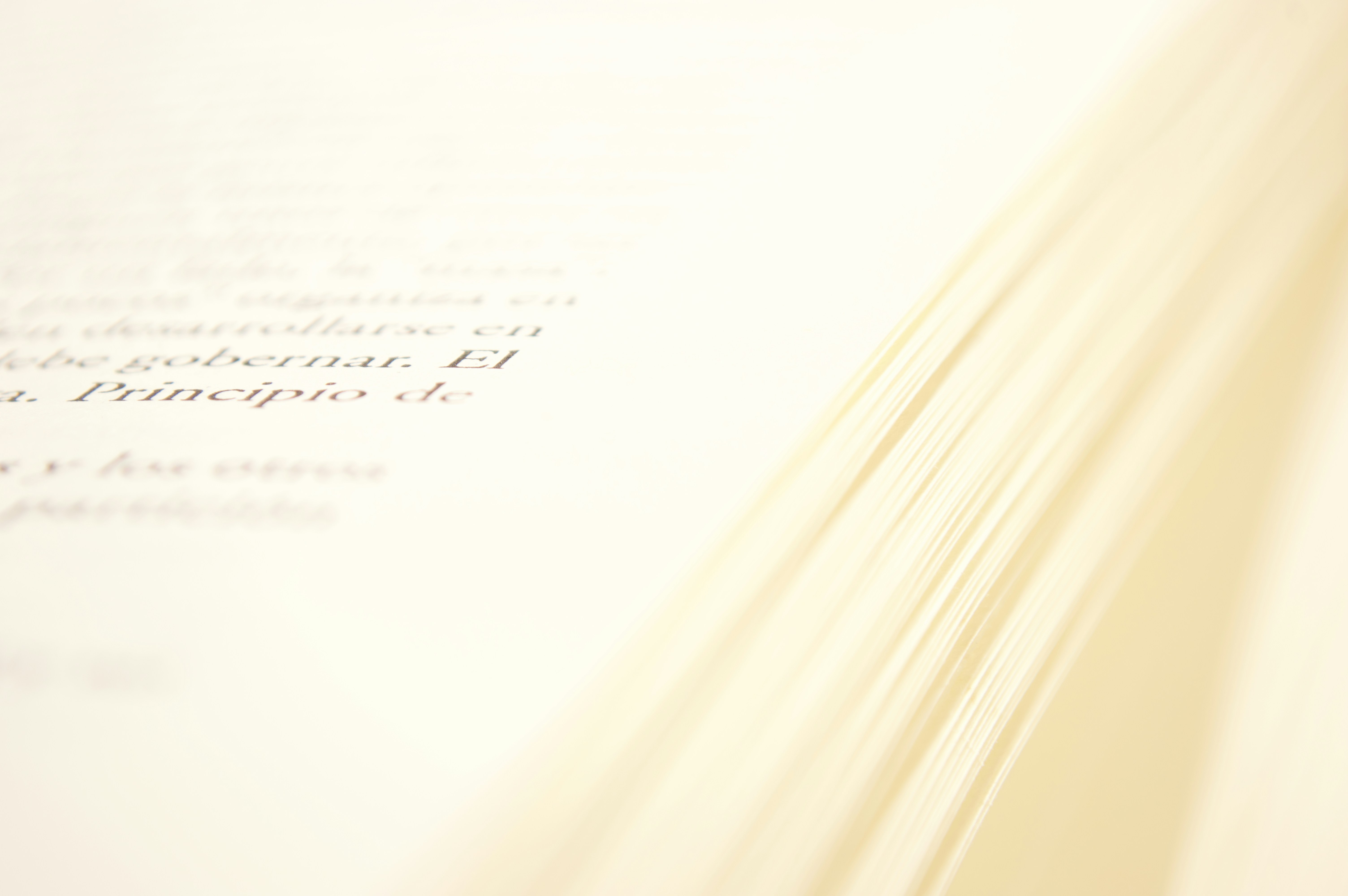 Open book pages with soft warm light on cream paper, quiet contemplative atmosphere