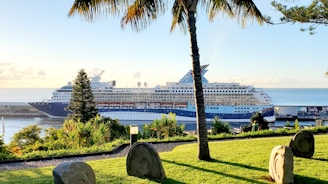 A large cruise ship is docked in a port surrounded by lush greenery with tropical plants and palm trees in the foreground. The sea is calm, and the sky is partially cloudy with a soft morning or evening light casting gentle shadows on the landscape.