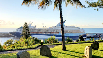 A serene morning view of a cruise ship anchored near a lush tropical island with palm trees swaying.
