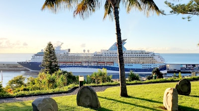 A large cruise ship is docked in a port surrounded by lush greenery with tropical plants and palm trees in the foreground. The sea is calm, and the sky is partially cloudy with a soft morning or evening light casting gentle shadows on the landscape.