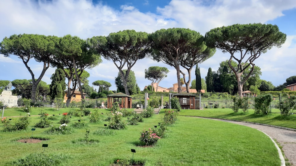 a lush green park with lots of trees