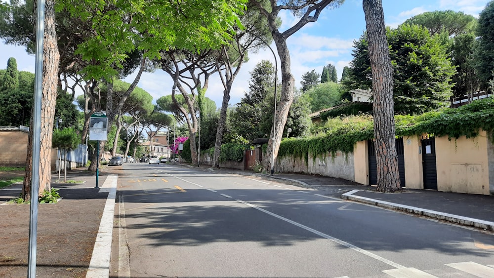 uma rua ladeada por muitas árvores ao lado de um prédio