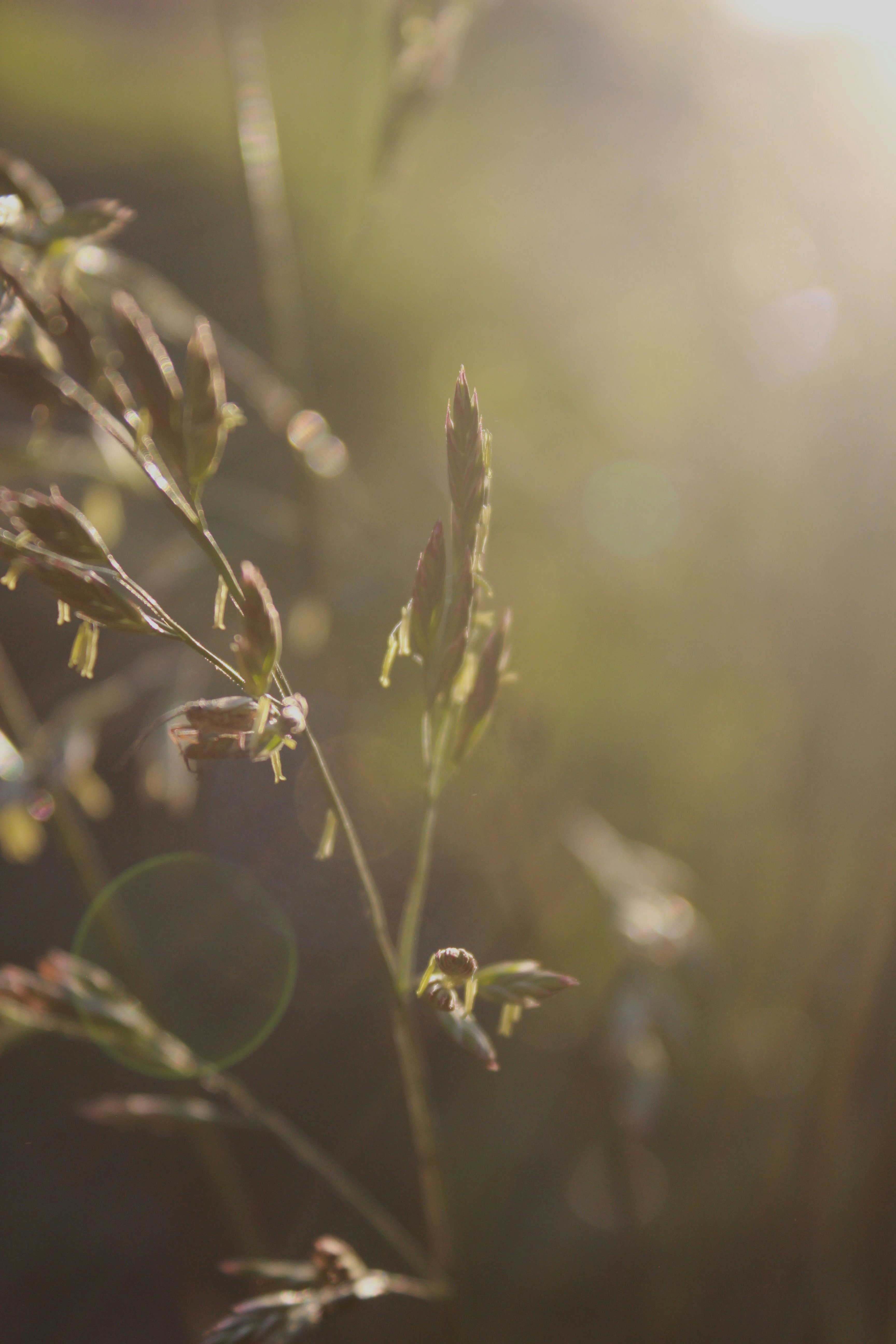 Photo by 2008annamill