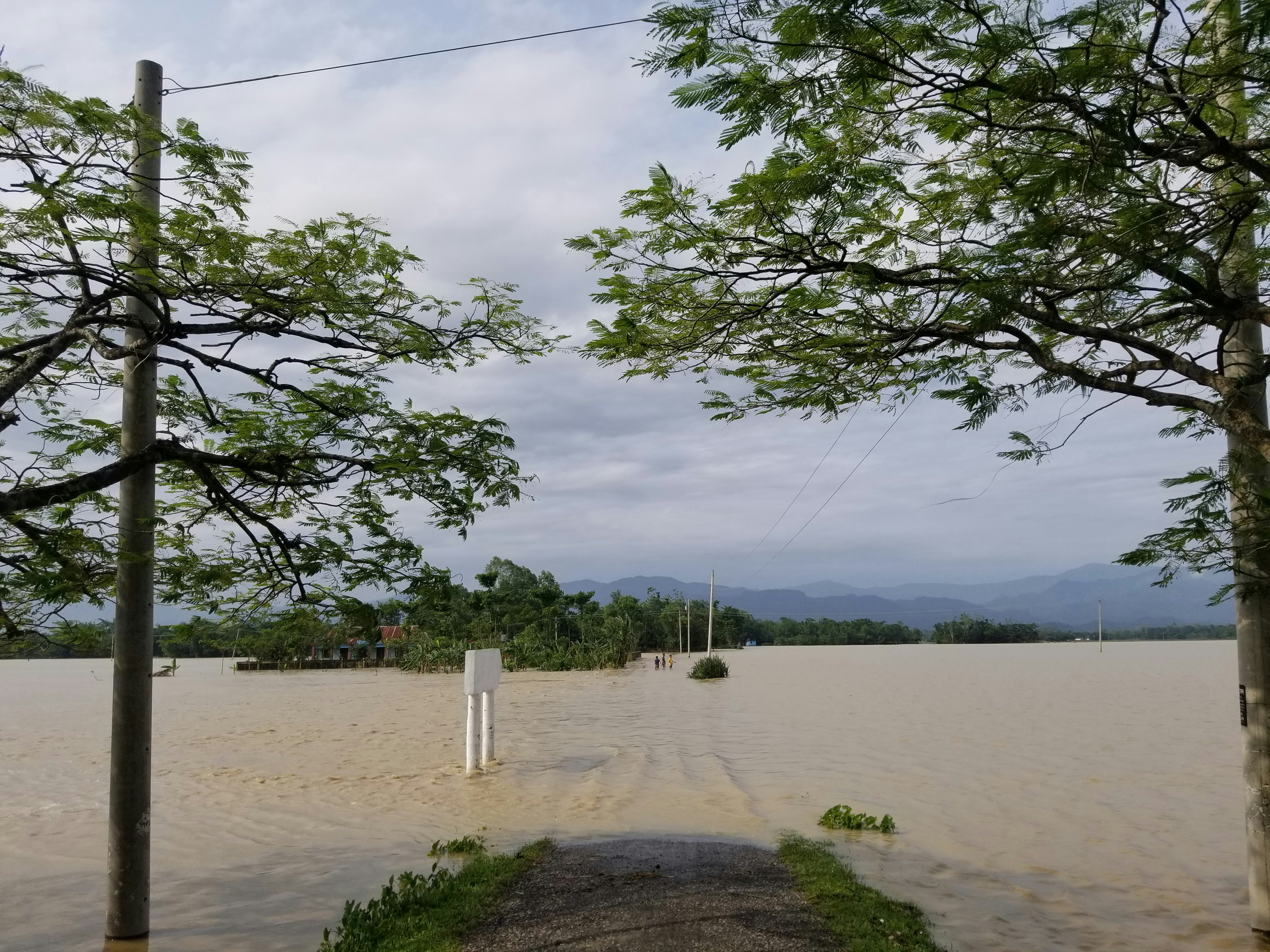 집이 물에 잠기는 꿈의 의미와 해석