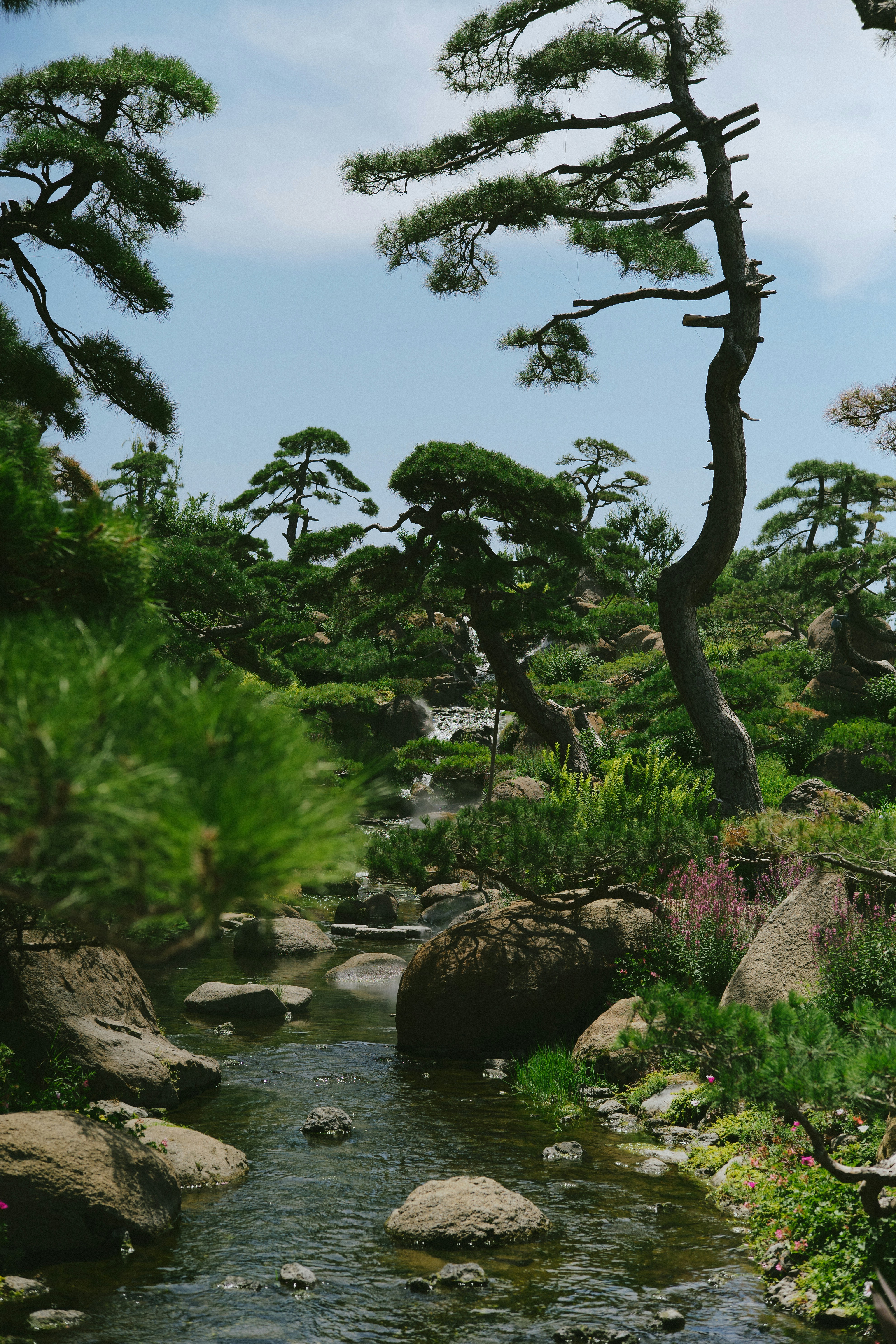 Photo by tommaomaoer