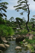 A serene landscape symbolizing kindness and growth.
