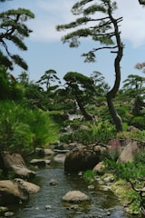 A serene landscape featuring a peaceful garden, symbolizing growth and blessings.