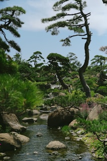 A serene landscape featuring a lush garden with tall, uniquely shaped pine trees. There is a gently flowing stream surrounded by smooth stones and vibrant green foliage. The tranquil scene is set under a clear blue sky, evoking a sense of peace and harmony.