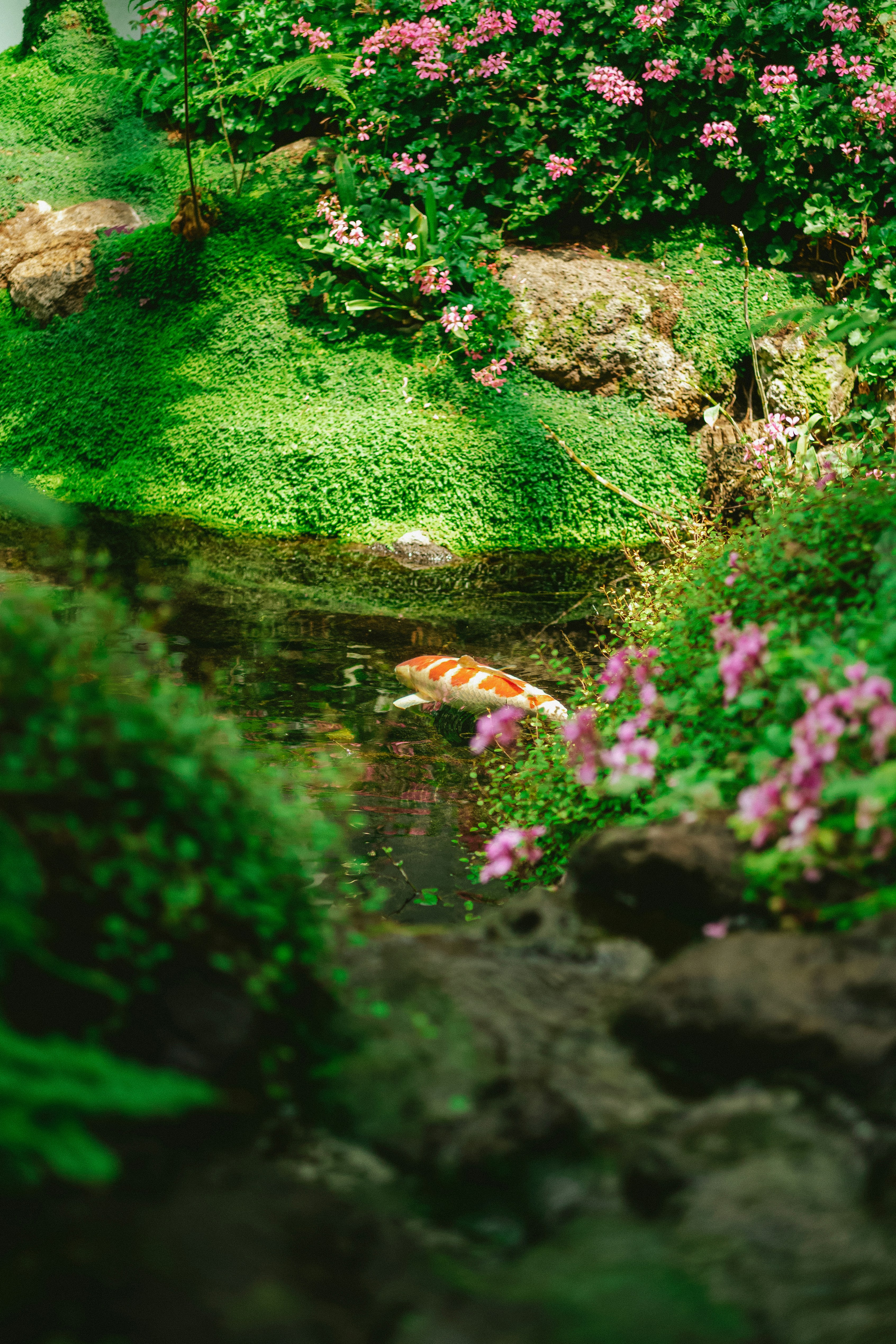 Photo by tommaomaoer