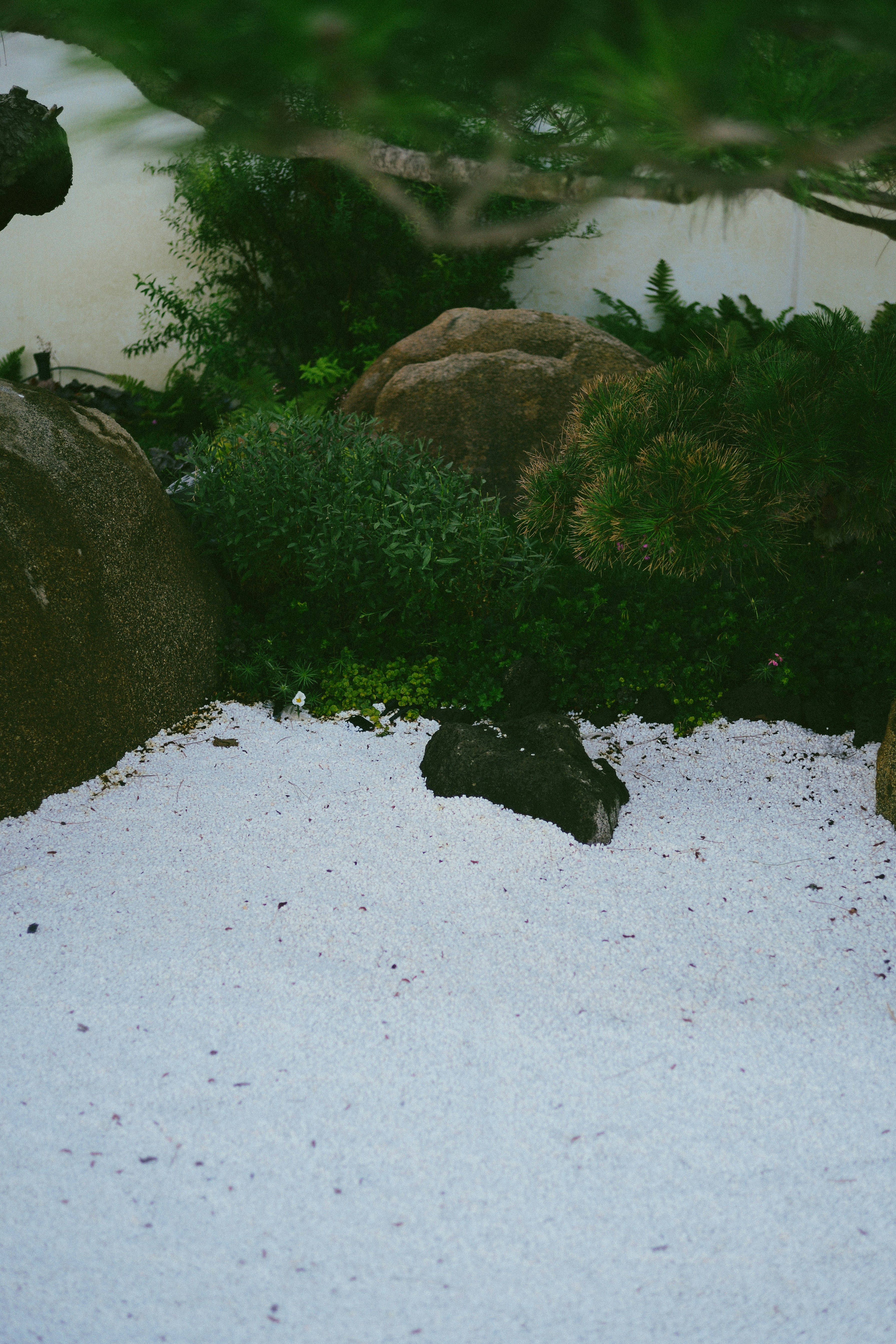 Photo by tommaomaoer