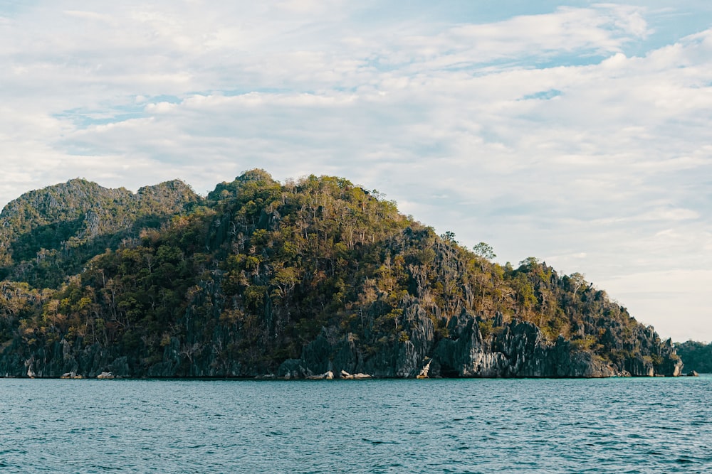 a small island in the middle of a body of water