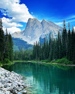 A serene landscape with a clear turquoise lake surrounded by dense evergreen trees. Towering in the background is a majestic mountain range under a vibrant, blue sky punctuated with fluffy white clouds. The rocky shore adds a natural element in the foreground.
